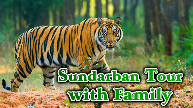 Sundarban tour package from Kolkata