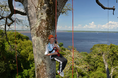 Amazon Tree Climbing