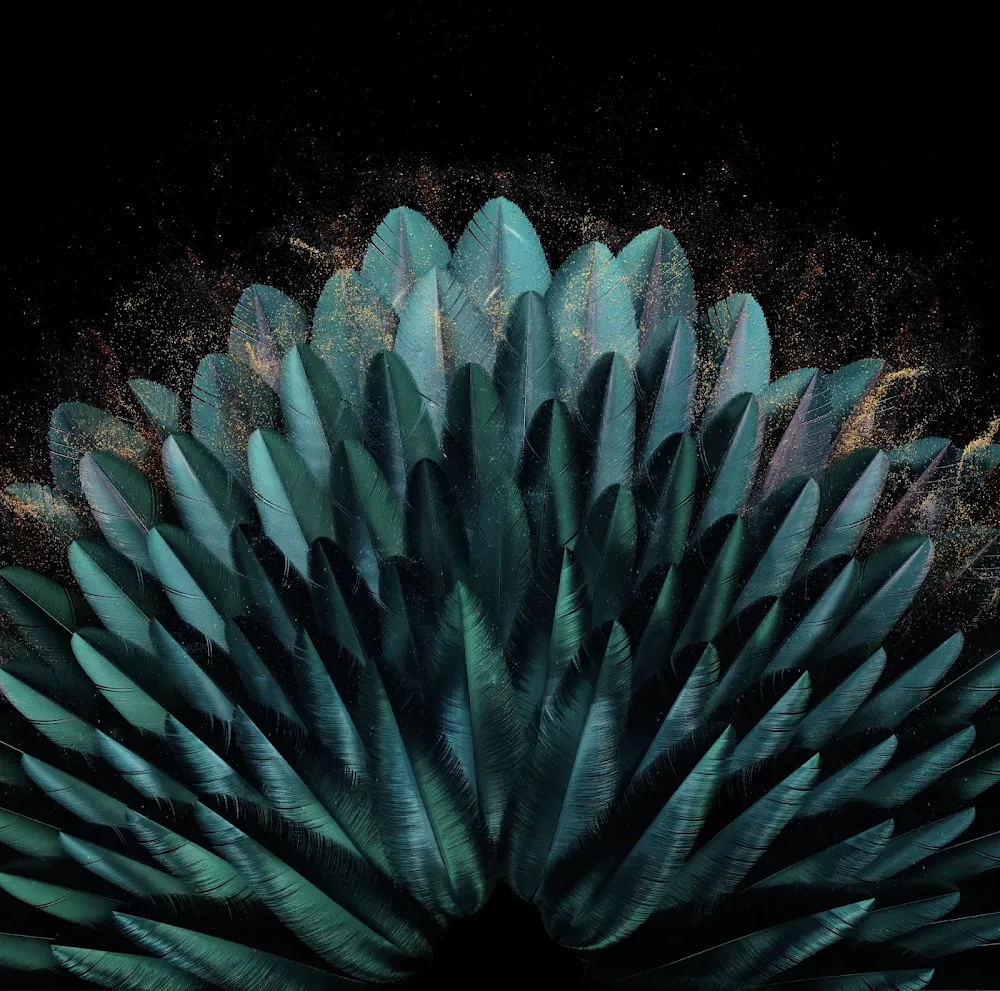 Wallpaper - 4