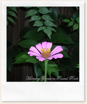 July 22, 2010 010