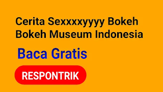 Cerita Sexxxxyyyy Bokeh Bokeh Museum Indonesia