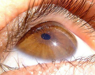 Слепоту можно лечить простой инъекцией в глаз: открытие ученых