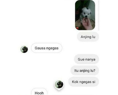 7 Meme 'Chat Baperan' Ini Bikin Mood Naik Turun