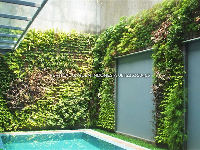 VERTICAL GARDEN INDONESIA SPESIALIS JASA PEMBUATAN VERTICAL GARDEN DI SERPONG DAN DI SELURUH WILAYAH SERPONG DENGAN TENAGA YANG PROFESIONAL DAN DAPAT DI PERCAYA YANG SELALU MENGUTAMAKAN SEBUAH MUTU DAN KUALITAS PEMASANGAN VERTICAL GARDEN/TAMAN DINDING, JASA TUKANG TAMAN VERTICAL SERPONG, JASA VERTICAL GARDEN SERPONG