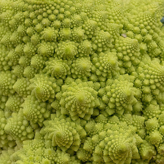 Blick auf die fraktalen Strukturen und Fibonacci-Spiralen des Romanesco-Gemüses.