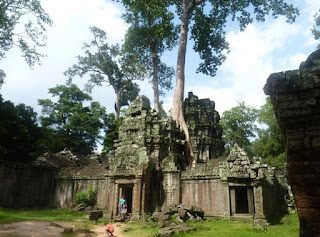 Templos de Angkor, Ta Prohm.