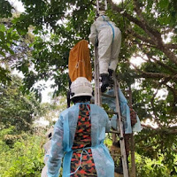 Mayat lelaki ditemui tergantung di dahan pokok duku