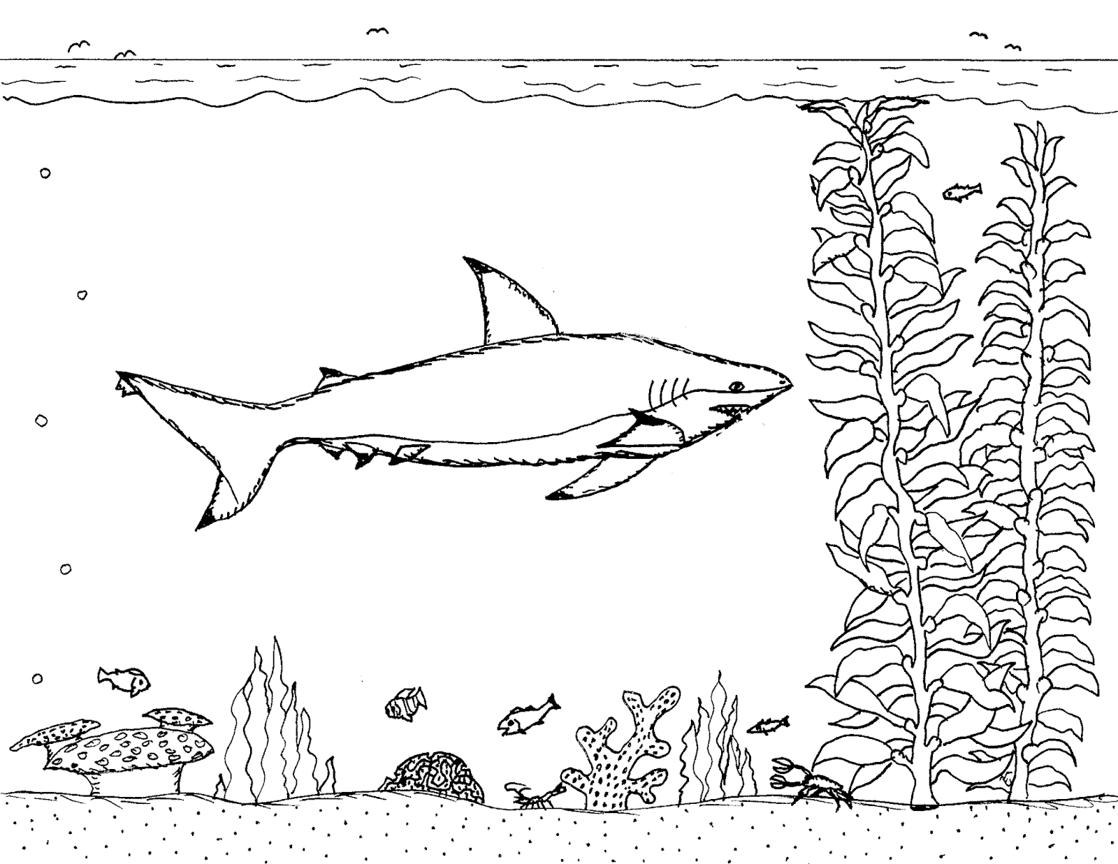 Download Robin's Great Coloring Pages: Blacktip Reef Shark