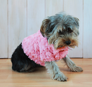 Milú luciendo su chaqueta rosa