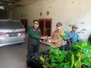 DPD PPLHI Kabupaten Sukabumi Distribusikan 1000 Bibit Pohon Kopi Kepada Warga Desa Jayanti