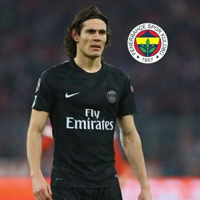 Cavani Adım Adım Fenere