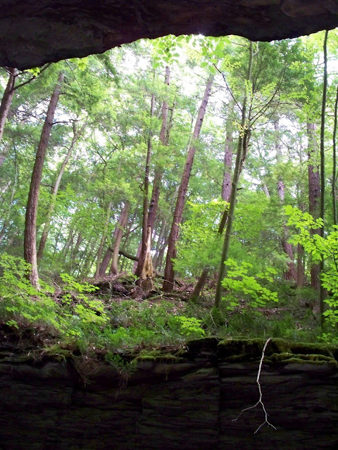 The top of the gorge