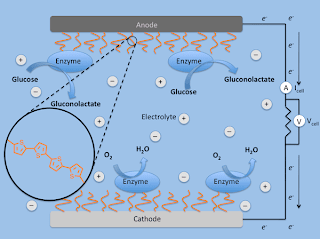 biofuel cell