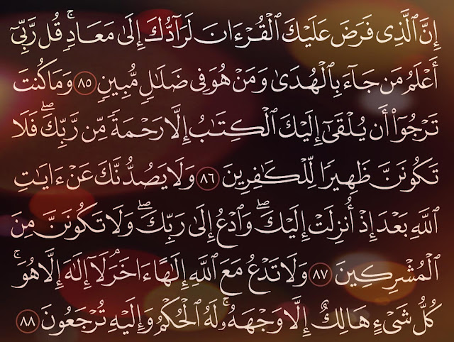 شرح وتفسير سورة القصص Surah AlQasas ( من الآية 81 إلى ألاية 88 )
