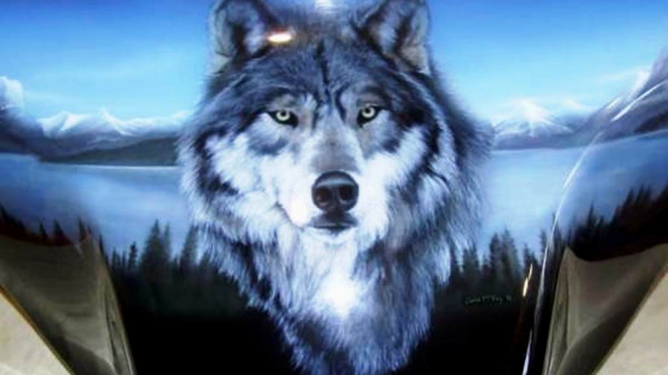 HD Wallpapers: Wolf Wallpapers Widescreen