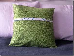 pillows 3-5 005