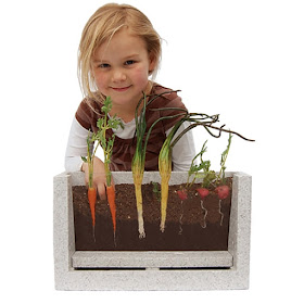 child and root vue science garden kit