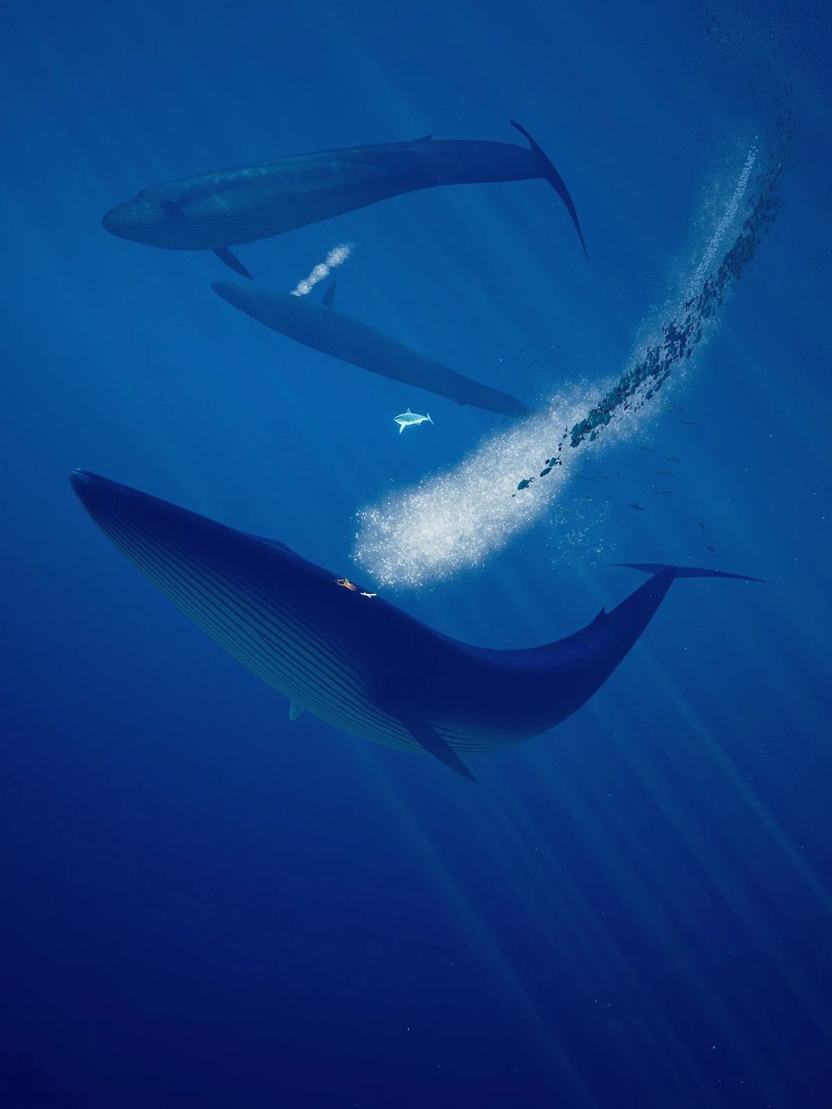 PulseZET, Giant Squid, ABZÛ, ABZU, 505 Games, indie game, adventure, приключенческая игра, подводный мир, исследование, инди-игра