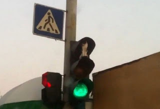 Traffic Lights and Cat