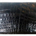 Otilia Bk - Genuine Alligator Clutch Handbag