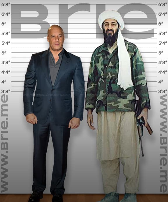 Vin Diesel's Height Comparison with 10 Type of Human Beings - Brie