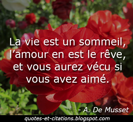  citation la vie est un sommeil