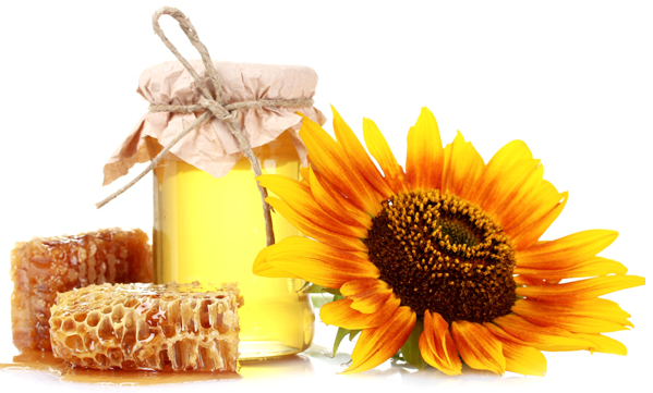 Liquid Gold Honey Can Heal Your Whole Body and Problems