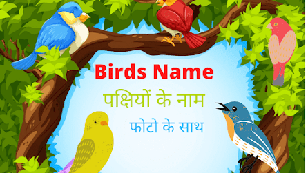 https://www.fullformslists.in/2021/07/birds-name-in-hindi-english.html