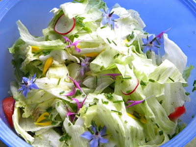 Salat mit vielen essbaren Blüten