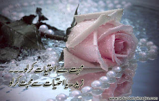 best urdu shayari pics 2013