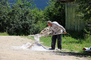 Sally mixing away in the sun