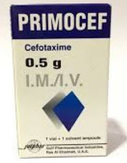 Primocef حقن بريموسيف,حقن سيفوتاكسيم,Cefotaxime sodium injection,إستخدامات حقن بريموسيف,الأعراض الجانبية حقن بريموسيف,موانع الإستخدام حقن بريموسيف,محاذير الإستخدام حقن بريموسيف,الجرعات حقن بريموسيف,فارما ميد دليل الأدوية العالمي