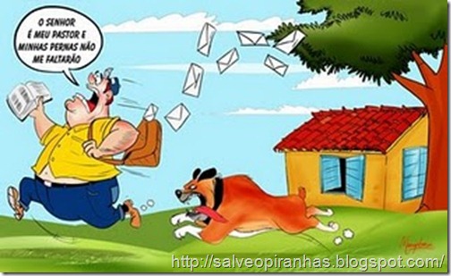 carteiro-mangabeira