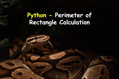 Python - Perimeter of Rectangle Calculation