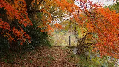 下大河原砂防堰堤