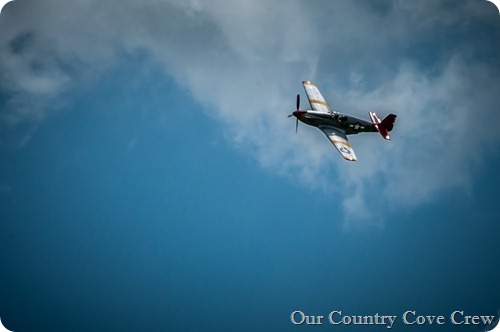 air show (70)