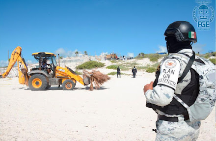 Sector náutico de Cancún respalda y celebra el operativo realizado en Playa Delfines