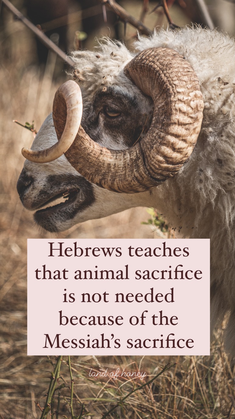 Why Believers Don't Need to Sacrifice Animals Today | Land of Honey
