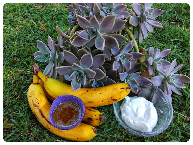 diy hair mask banan yogurt honey alleycraft