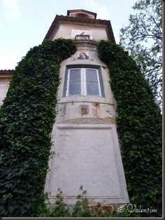 P1170999