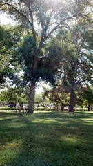 2012-10-17_09-58-02_706