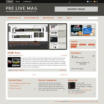 pre live mag blogger template