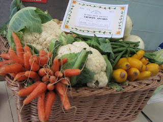 Winning basket of veg. How come the beans are so early? An early variety?