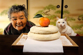 A grandma and her cat are best friends, Misa and Fukumaru, odd eyed cat