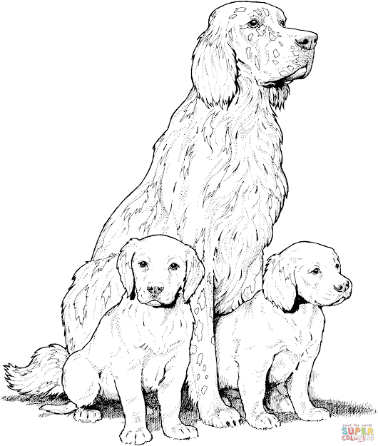 Labrador With Puppies