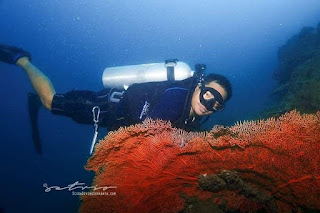 Wisata Olahraga Selam / Adventure Diving di Situbondo - Jatim