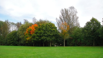 DSC02557