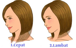 2 Arti Rambut Yang Tumbuh Cepat Dan Lambat Dapat Mengungkap Kepribadian Anda