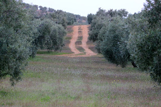 Las Víboras