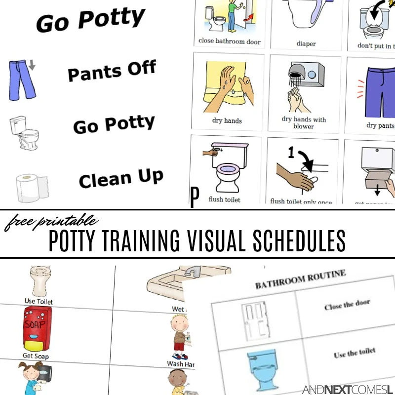 Free Potty Training Visual Schedules And Next Comes L Hyperlexia